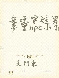 每晚穿进男神的梦里npc小说