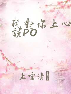我对你上心了小说PO