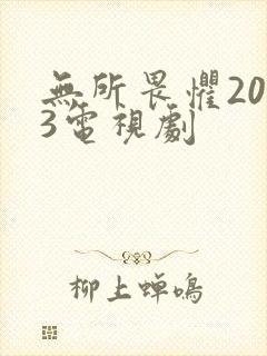 无所畏惧2023电视剧