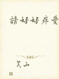 请好好疼爱里面