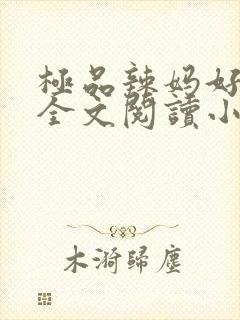 极品辣妈好v5全文阅读小说