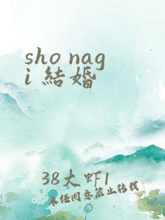 sho nagi 结婚
