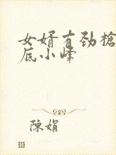 女婿有劲枪枪到底小峰