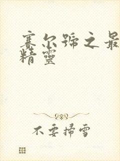 赛尔号之最强小精灵