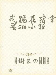 我跪在宿舍被闺蜜sm小说