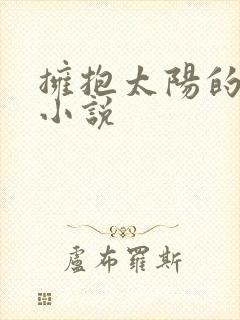 拥抱太阳的月亮小说