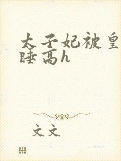 太子妃被皇上强睡高h