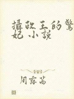 摄政王的惊世嫡妃 小说