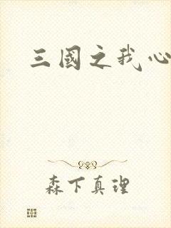 三国之我心狂想