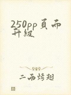 250pp页面升级