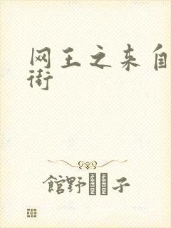 网王之来自流星街