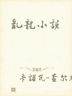 乱龙小说