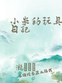 小米的玩具羞辱日记