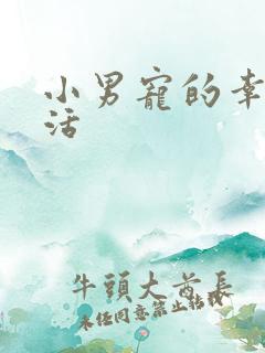 小男宠的幸福生活
