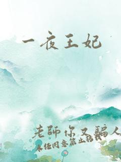 一夜王妃