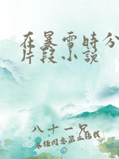 在暴雪时分高能片段小说