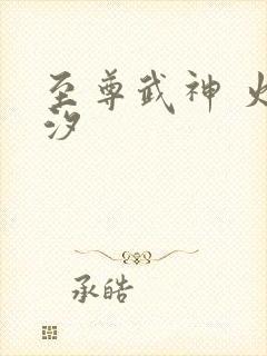 至尊武神 火龙汐