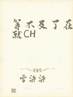 等不及了在车里就CH