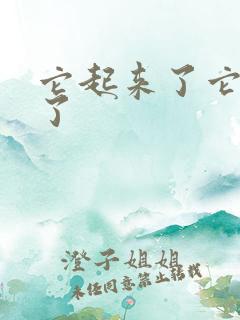 它起来了它想你了