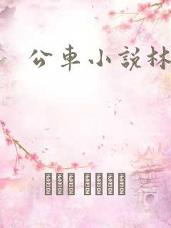 公车小说林蔓蔓