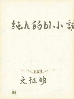 纯h的bl小说