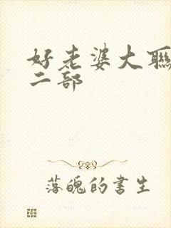好老婆大联盟第二部