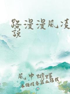路漫漫风凌轩小说