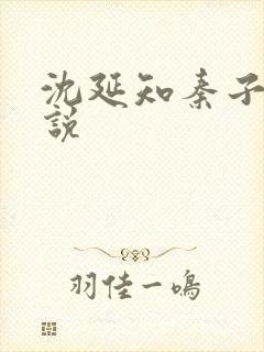 沈延知秦子卿小说