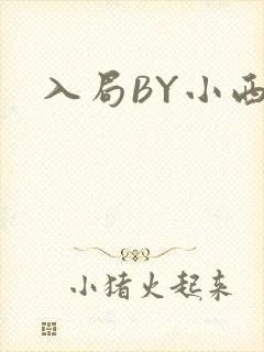 入局BY小西
