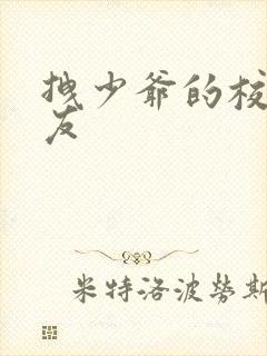 拽少爷的校花女友