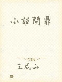 小说问鼎