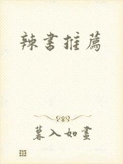 辣书推荐