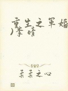 重生之军婚(h)李晴