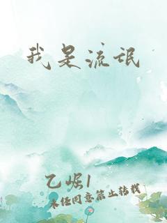 我是流氓