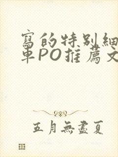 写的特别细的开车PO推荐文多人