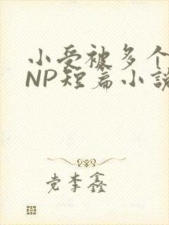 小受被多个攻强NP短篇小说
