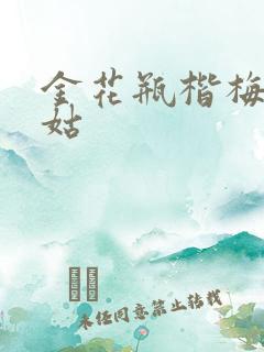 金花瓶楷梅花尼姑