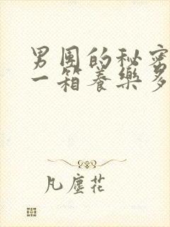 男团的秘密BY一箱养乐多小说