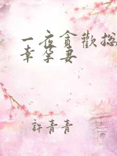 一夜贪欢总裁的幸孕妻