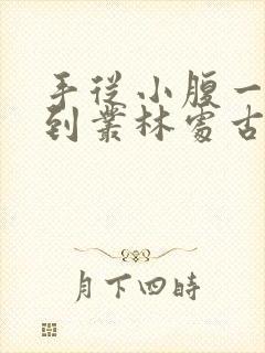 手从小腹一路开到丛林处古代