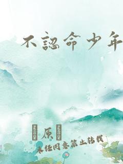 不认命少年向阳