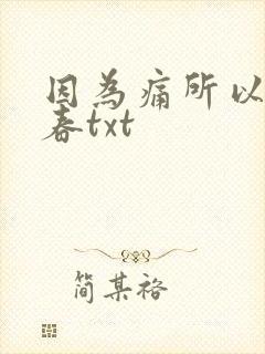 因为痛所以叫青春txt