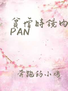 贫僧时镜肉补全PAN