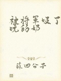 被将军吸了一整晚的奶