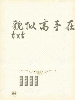 貌似高手在异界txt