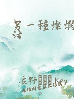 另一种灿烂的生活