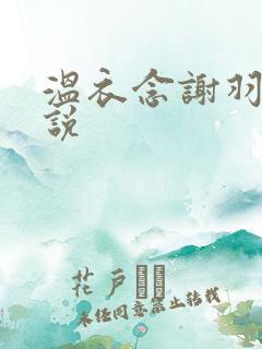 温衣念谢羽渊小说