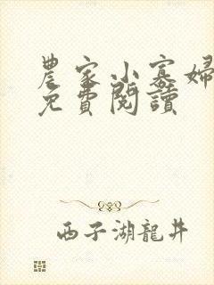 农家小寡妇全文免费阅读