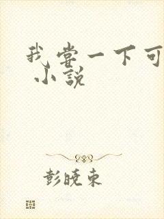 我尝一下可以吗 小说