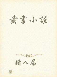 黄书小说